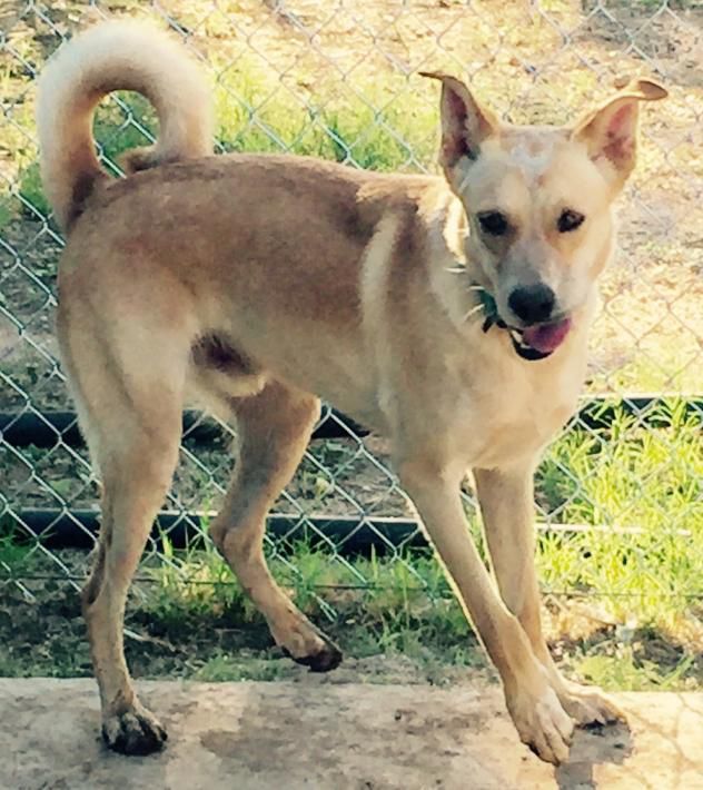 Adopt a friend: John